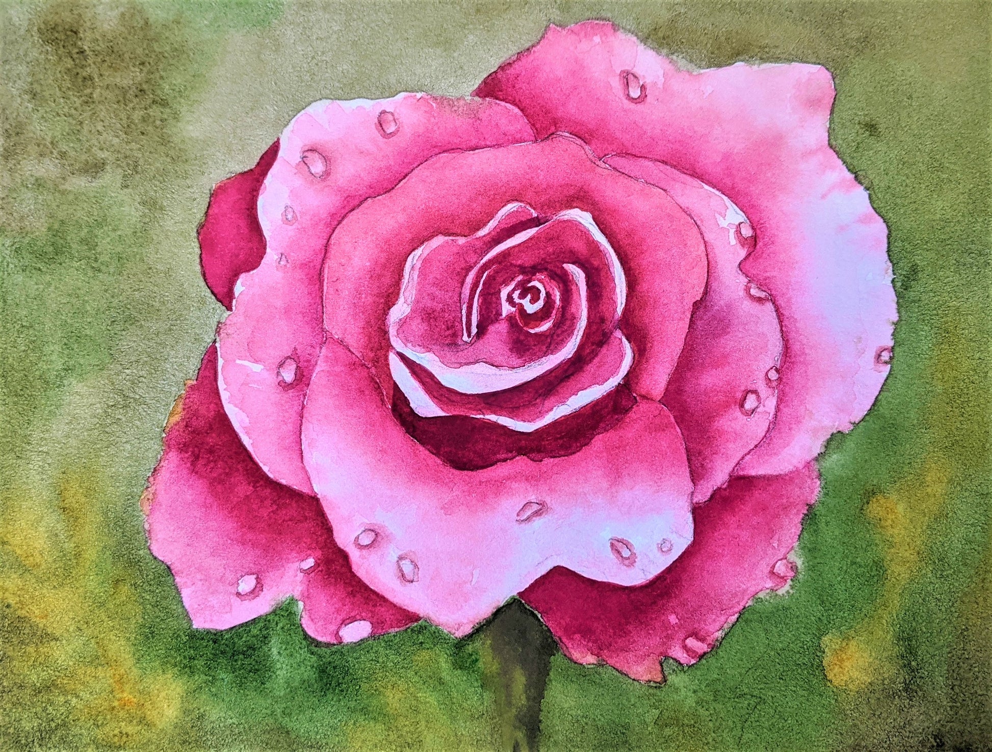 Dewdrops on a rose watercolor painting