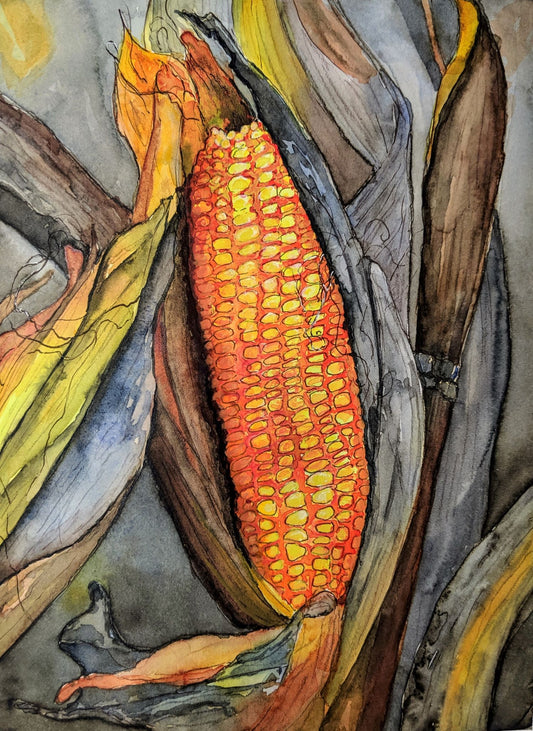 Ear of corn watercolor painting