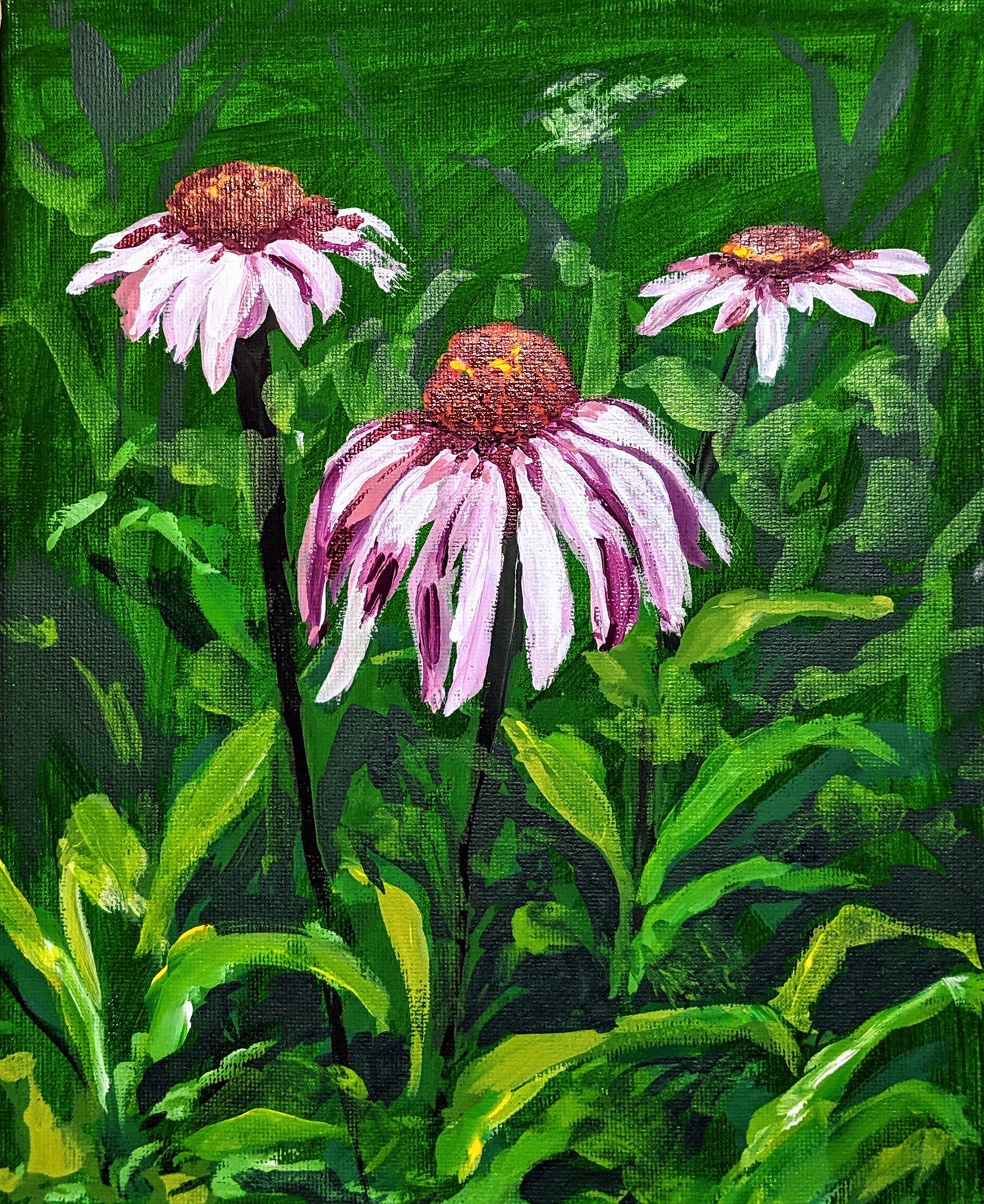 Echinacea acrylic painting