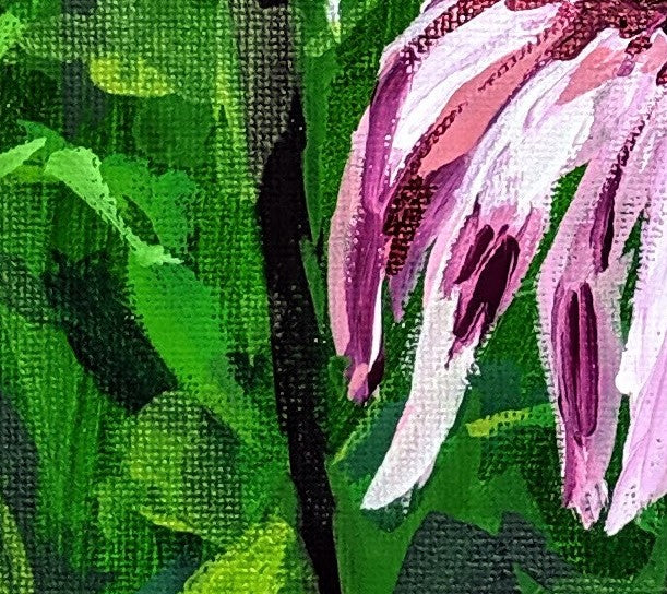 Echinacea acrylic painting detail