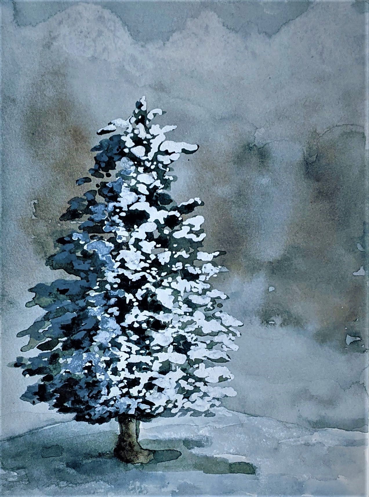 Evergreen watercolor painting on paper