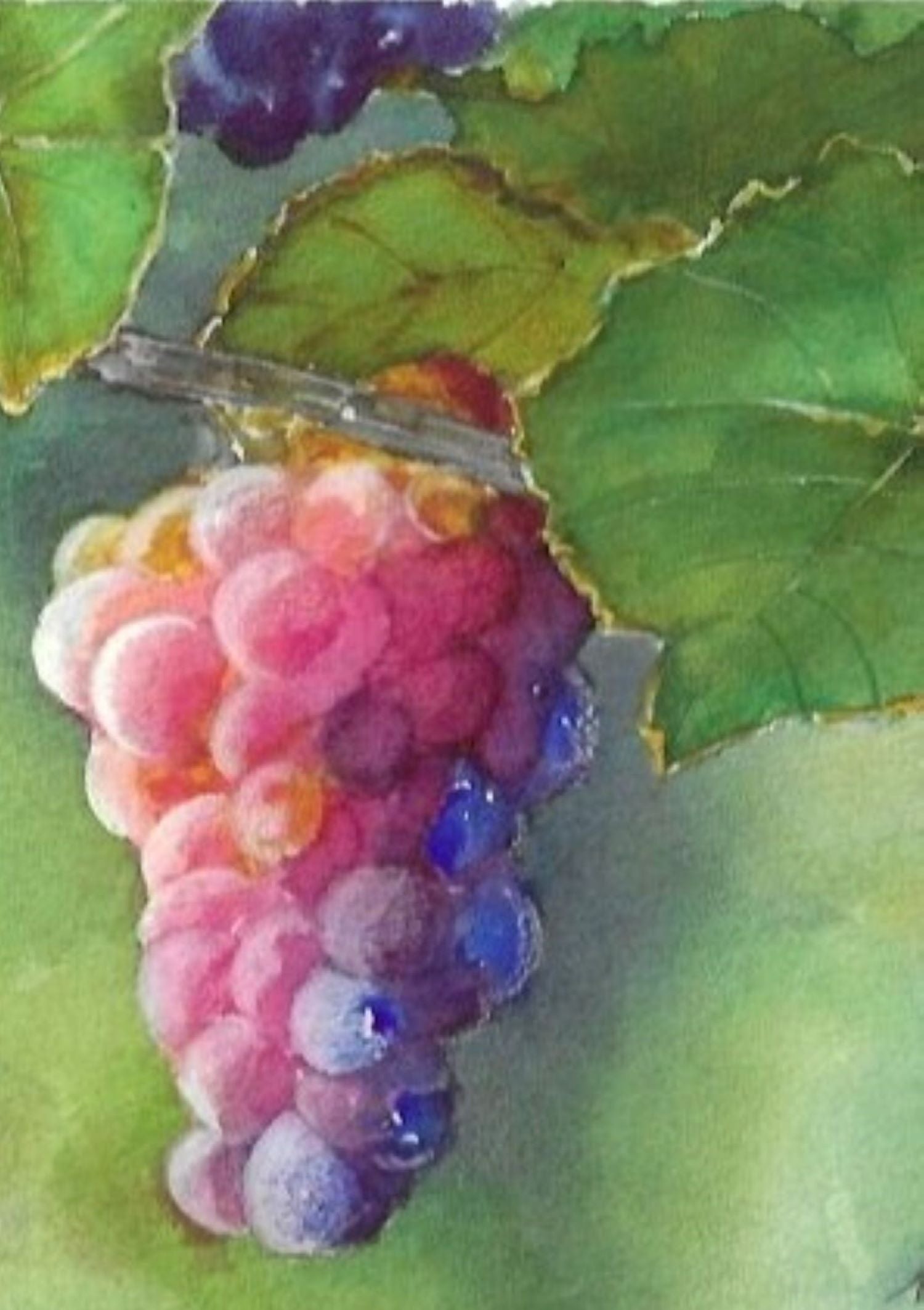 Frosted grapes watercolor painting detail