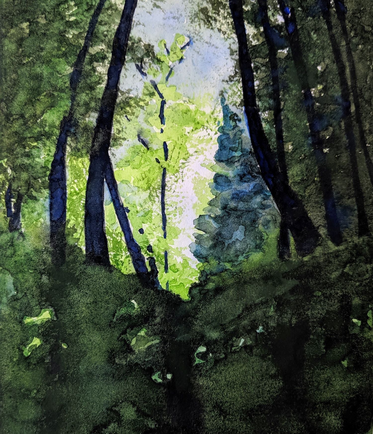 German forest watercolor painting