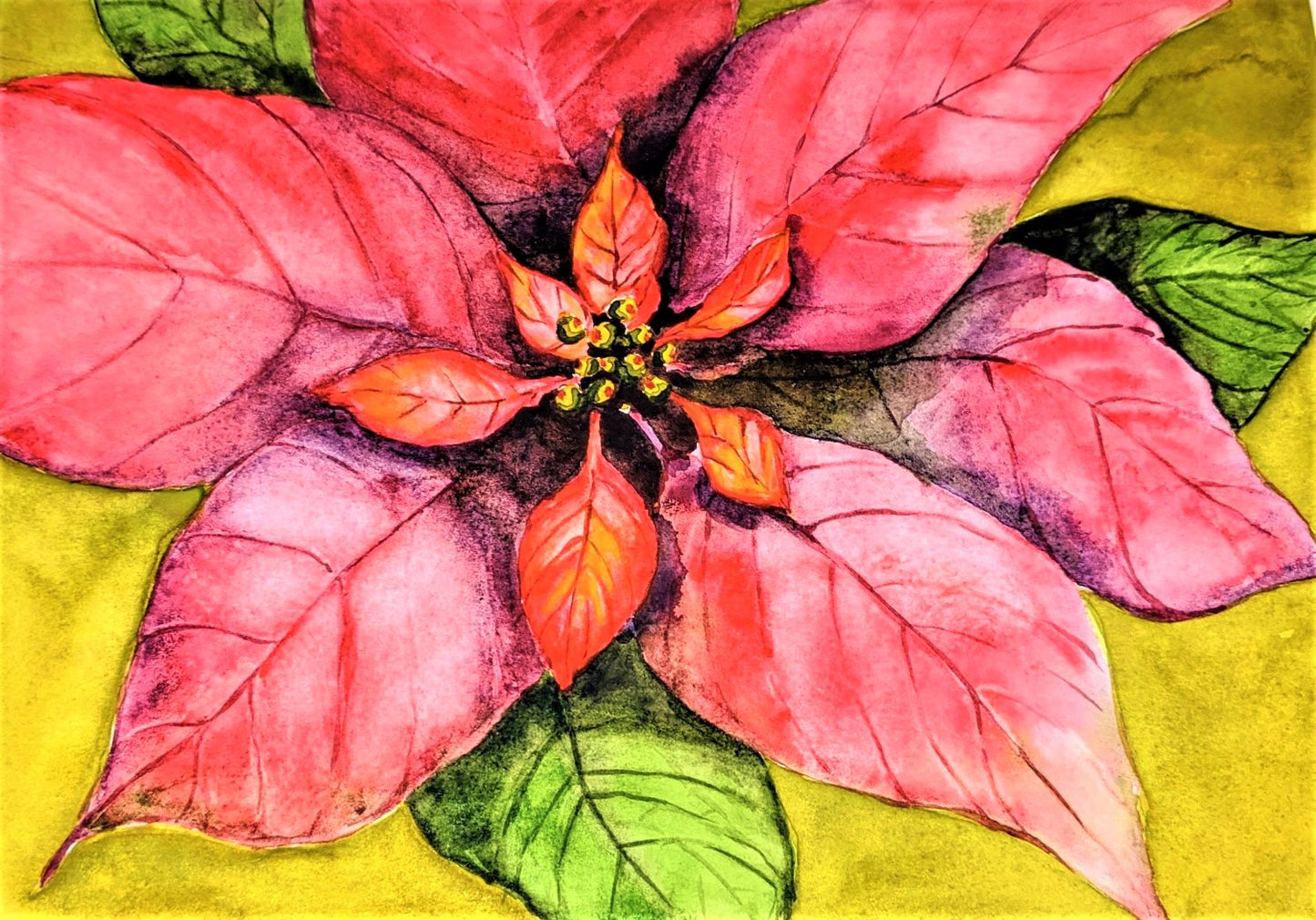 Glowing Poinsettia watercolor painting on paper