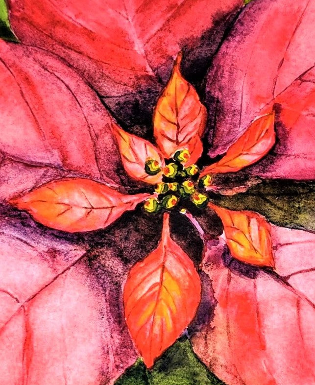 Glowing Poinsettia watercolor painting on paper detail