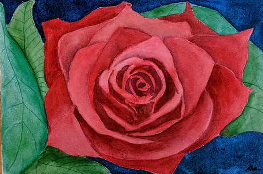 Storm Rose