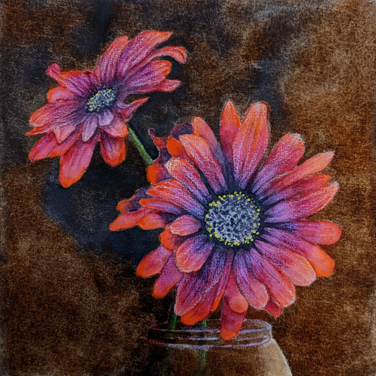 African Daisies