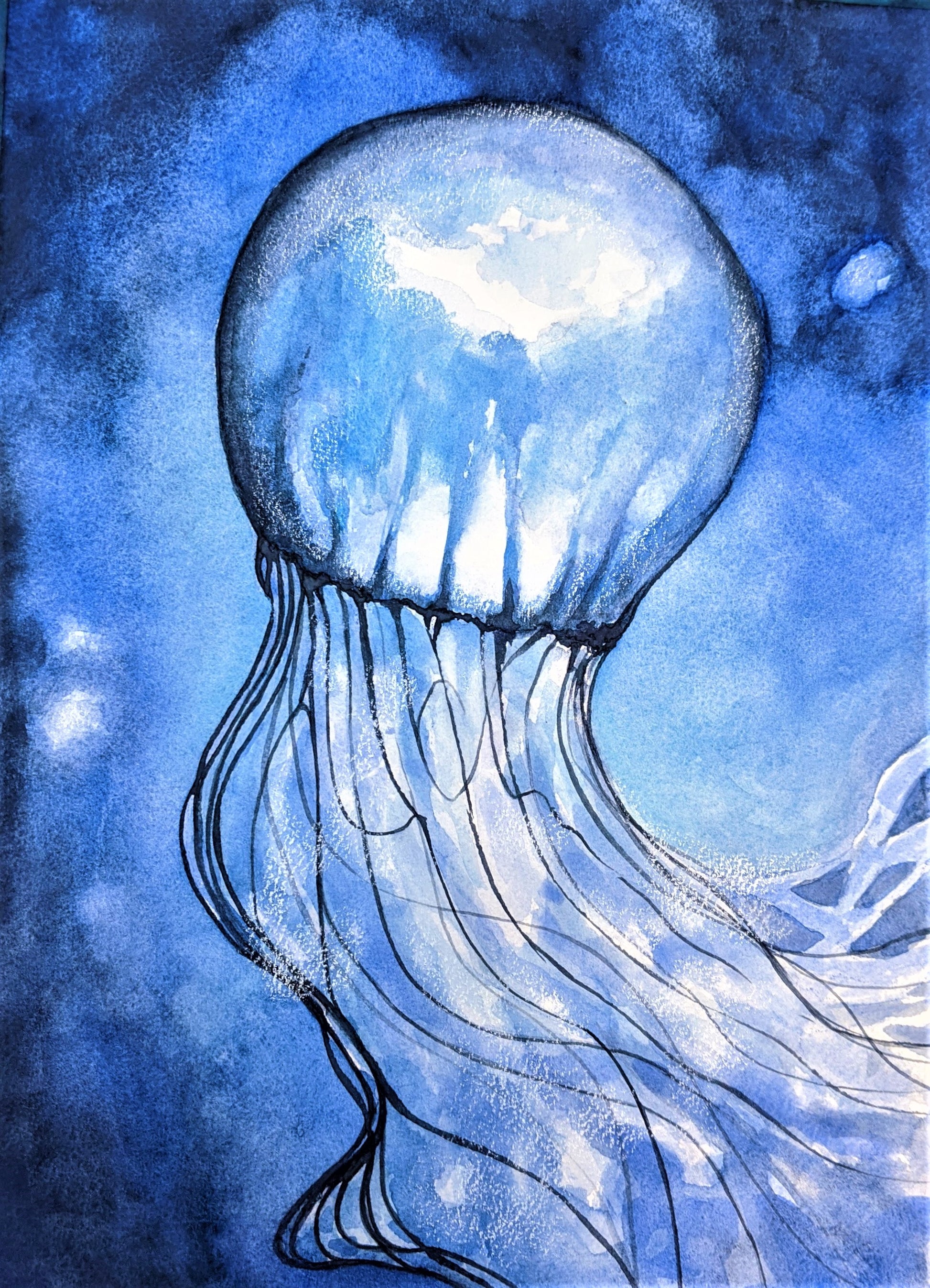 Jellyfish floating watercolor painting