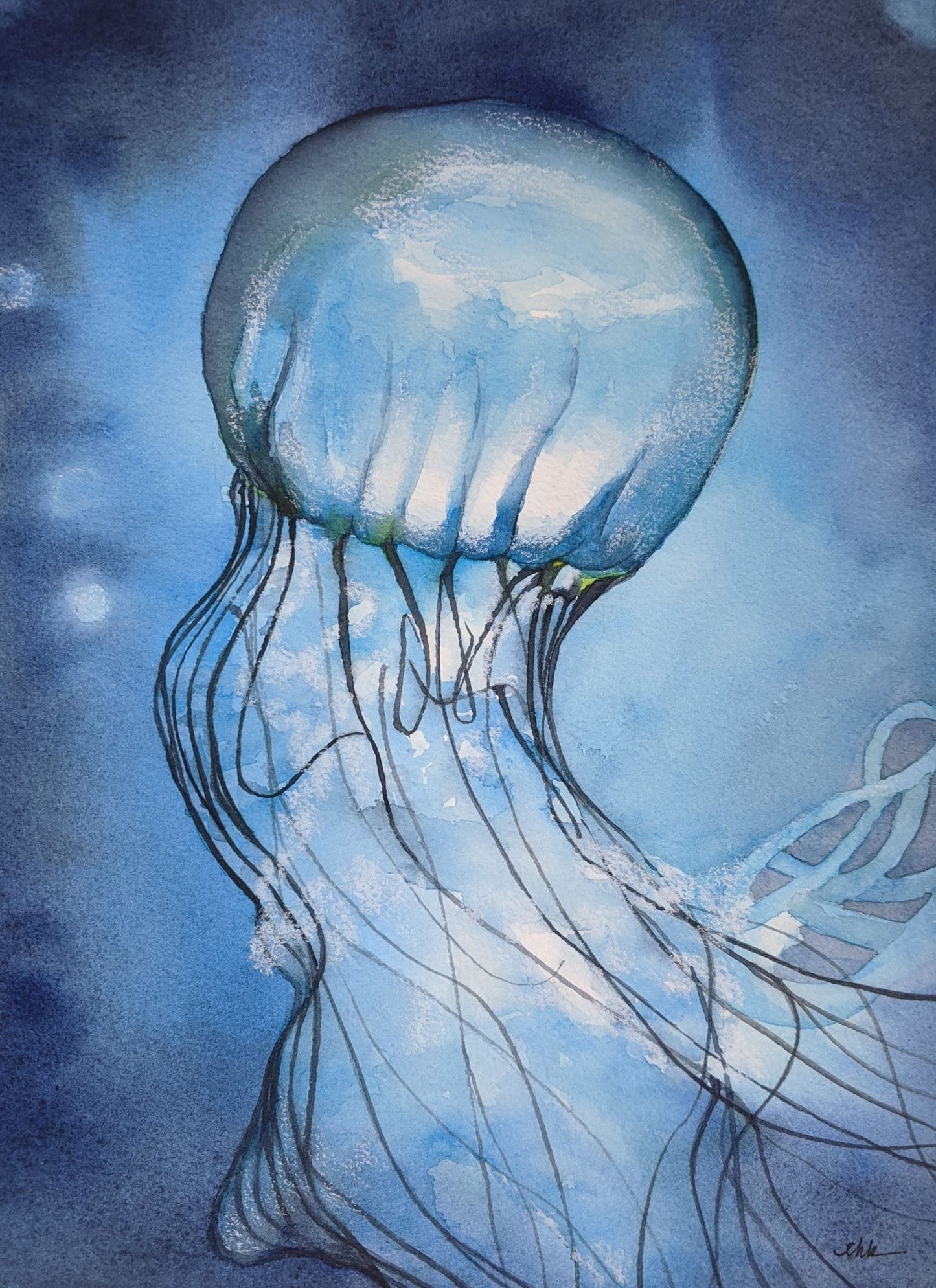 Jellyfish in blue watercolor painting