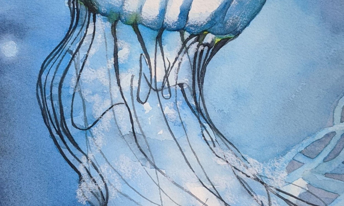 Jellyfish in blue watercolor painting detail