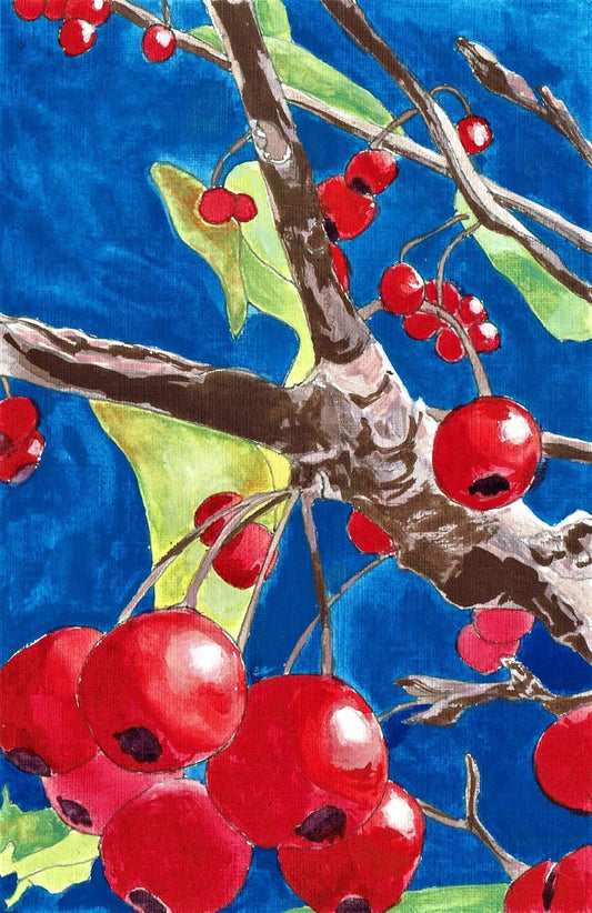 Kansas red berries gouache painting