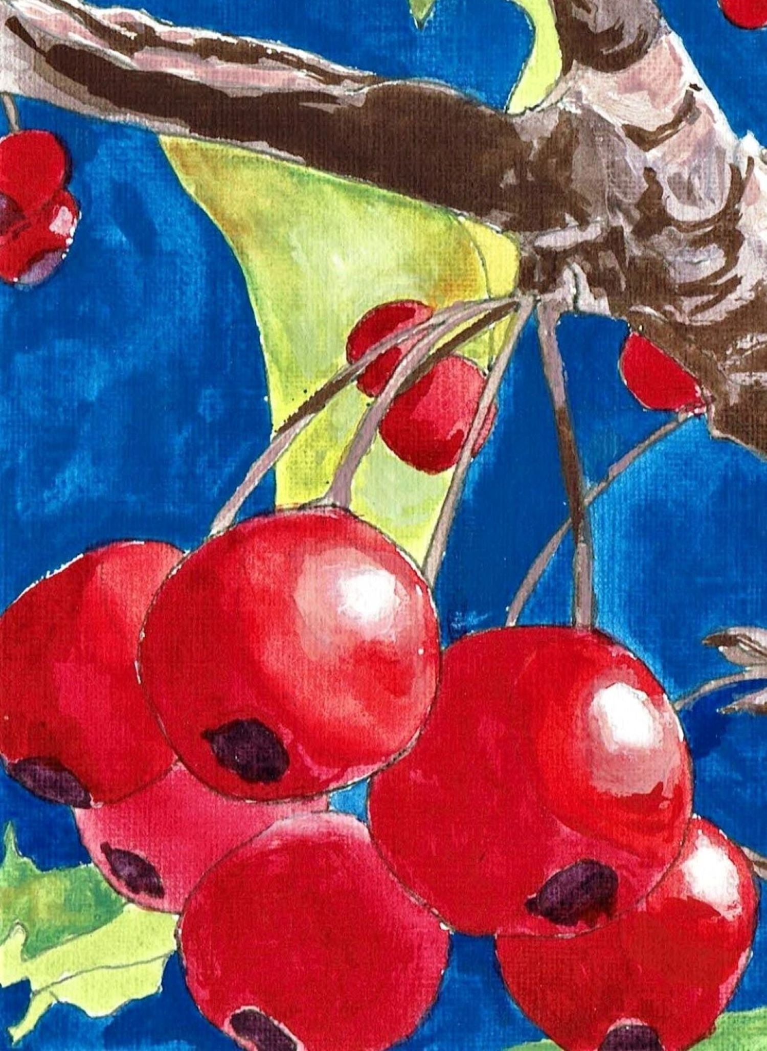 Kansas red berries gouache painting detail