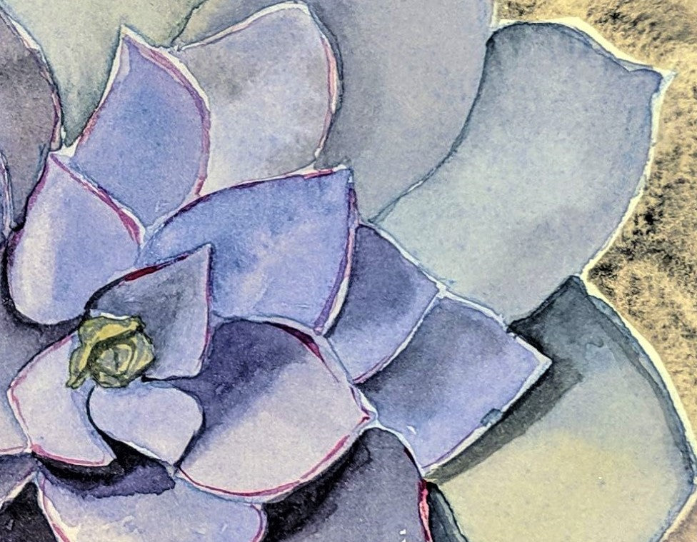Lavender succulent watercolor painting detail
