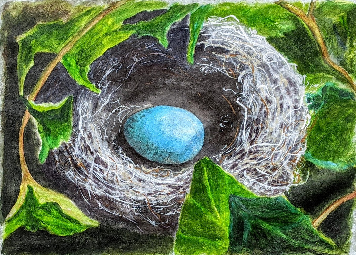 Bird's Nest in the Yard