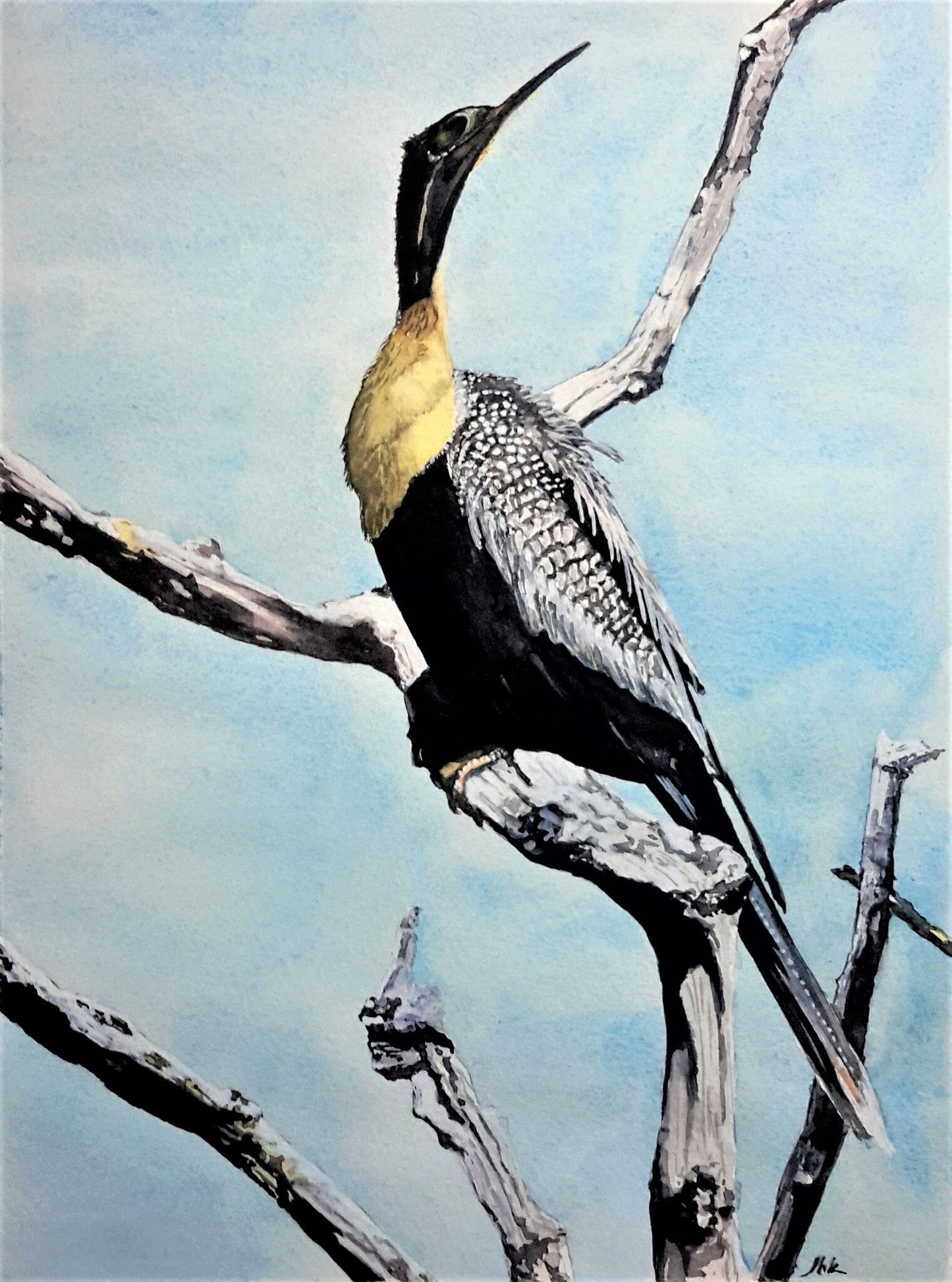 New Smyrna heron watercolor painting