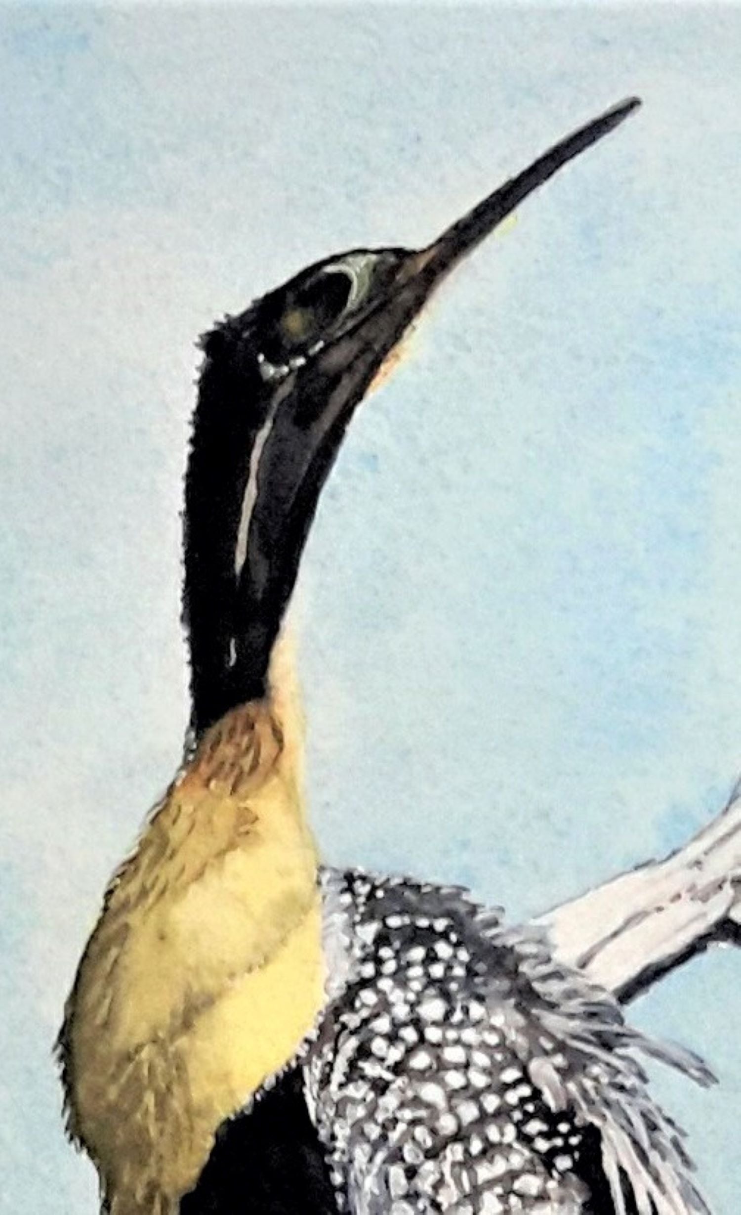 New Smyrna heron watercolor painting detail