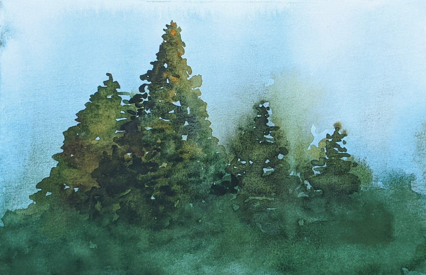 Evergreen Forest watercolor painting on paper