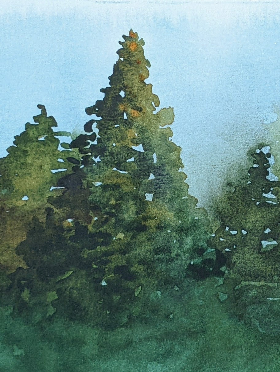 Evergreen Forest watercolor painting on paper detail