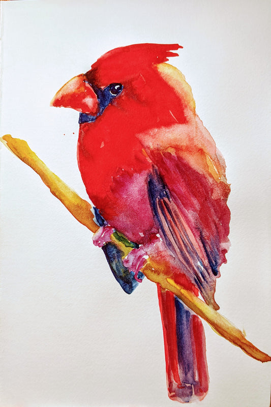 Red Bird