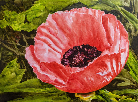 Poppy for Lisa