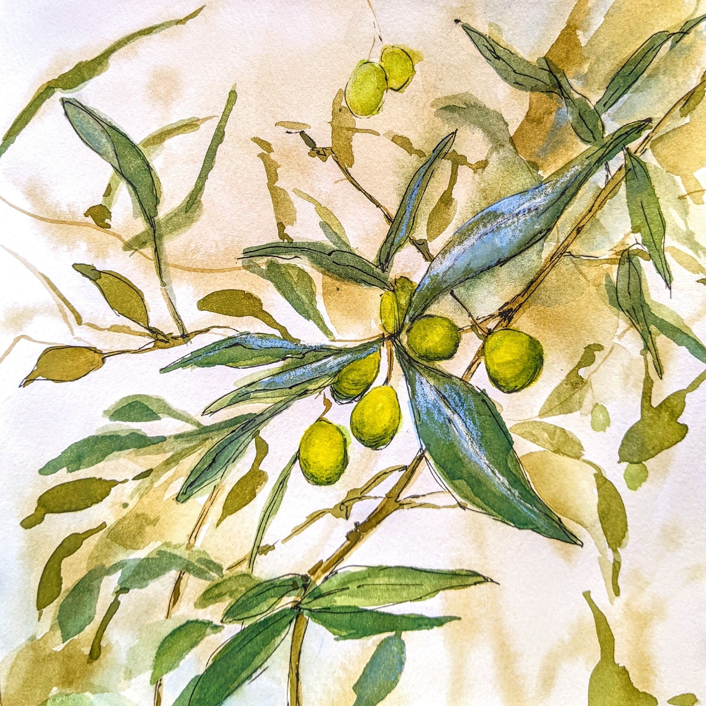 Olive Branch for Peace