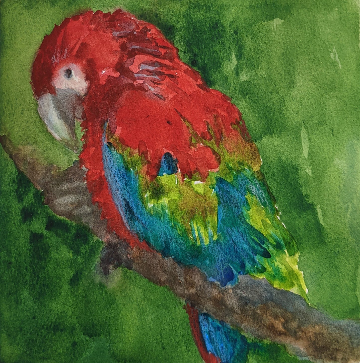 Parrot Splash watercolor painting on paper detail