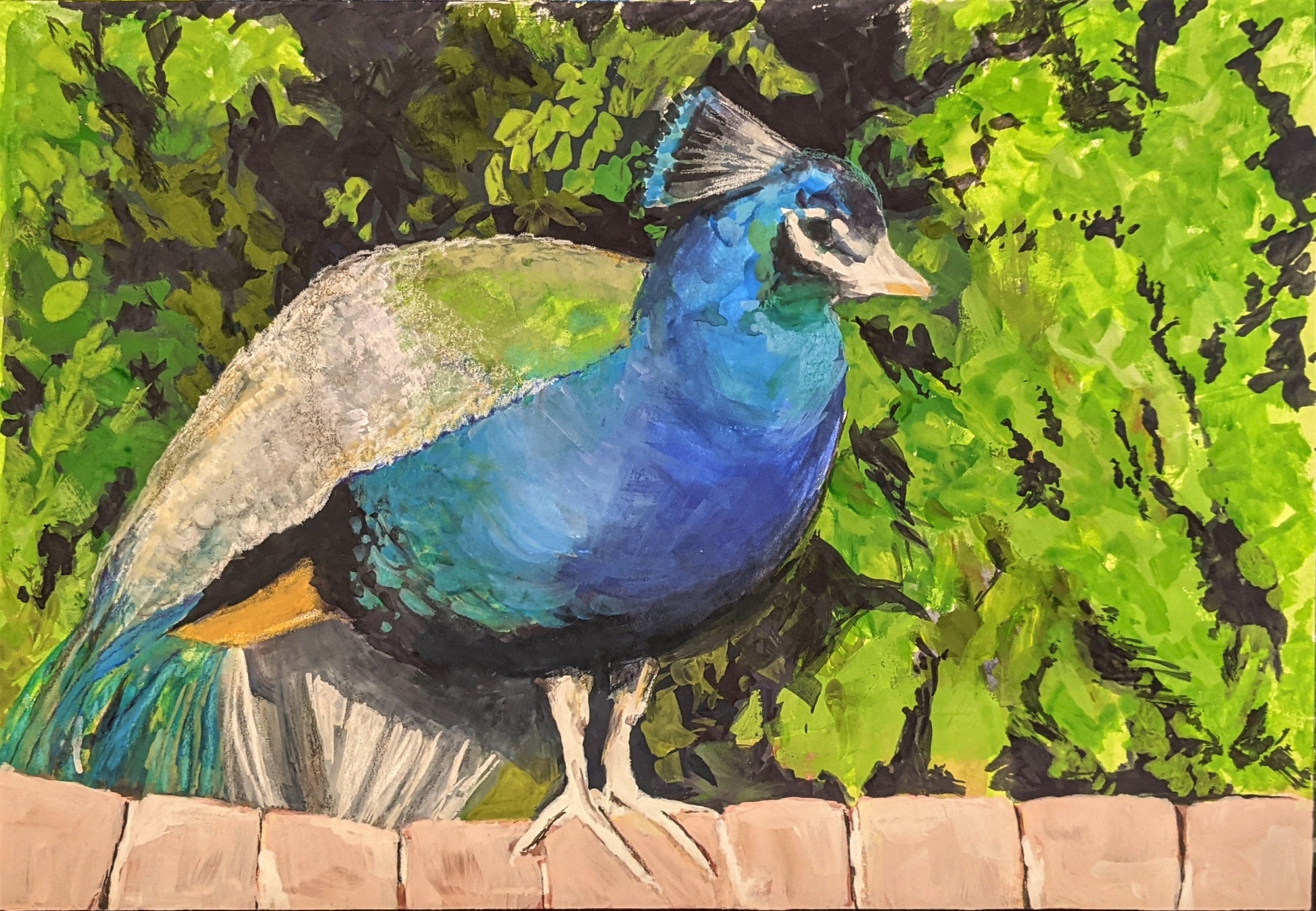 Peacock in Porto gouache painting on paper