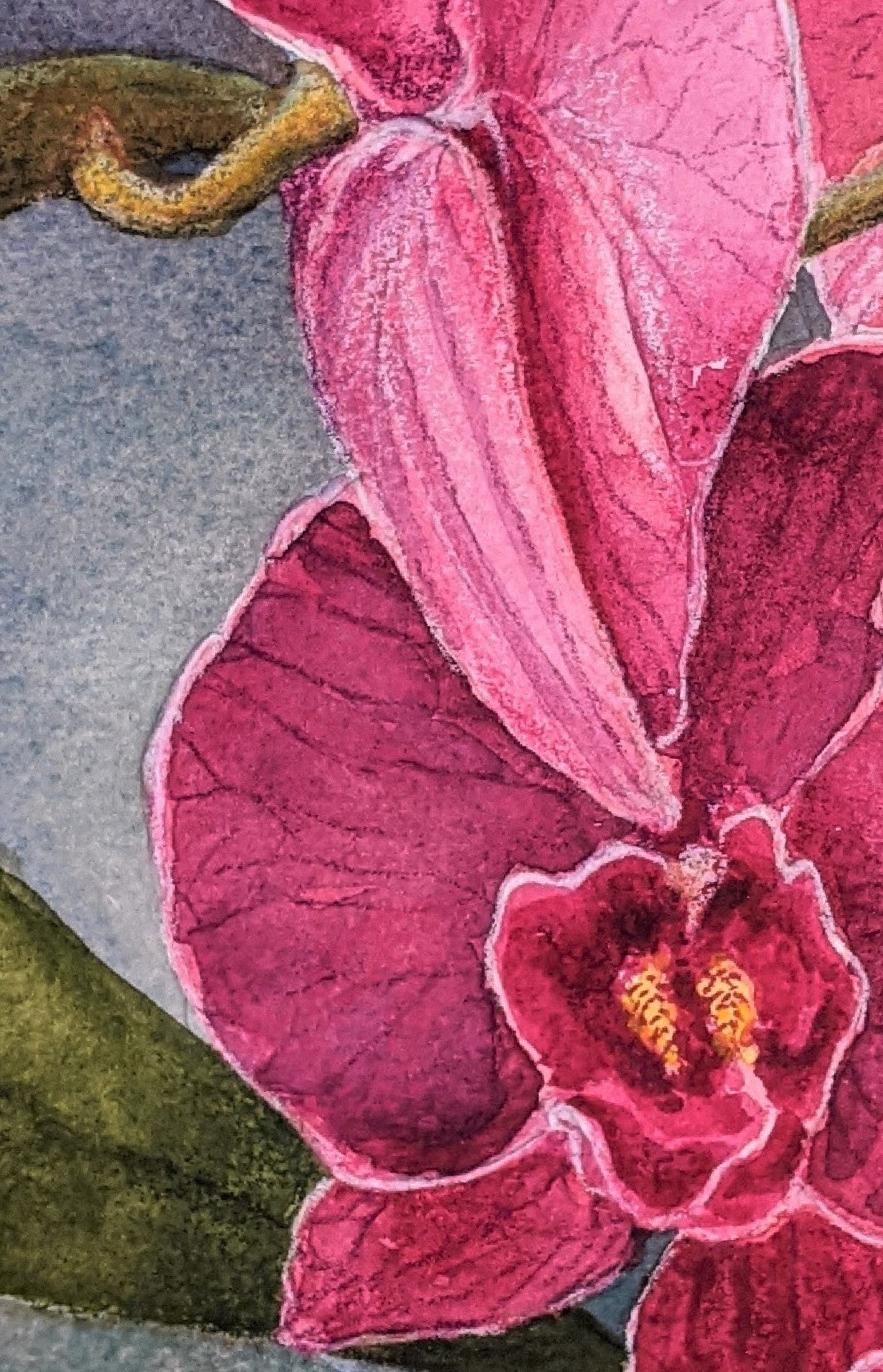Plum Orchid watercolor and pencil painting on paper detail