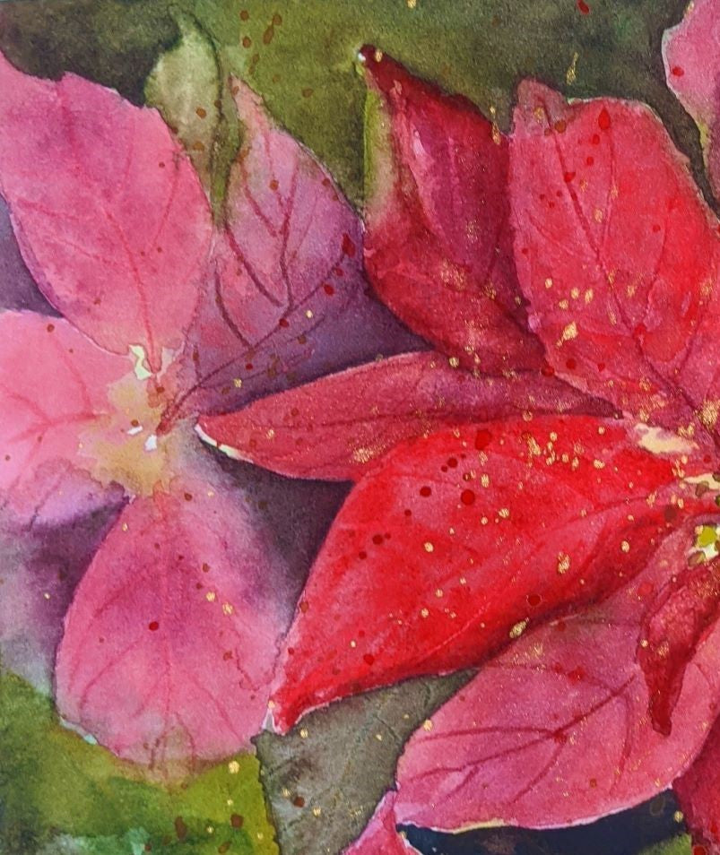 Poinsettia Sparkling watercolor painting on paper detail