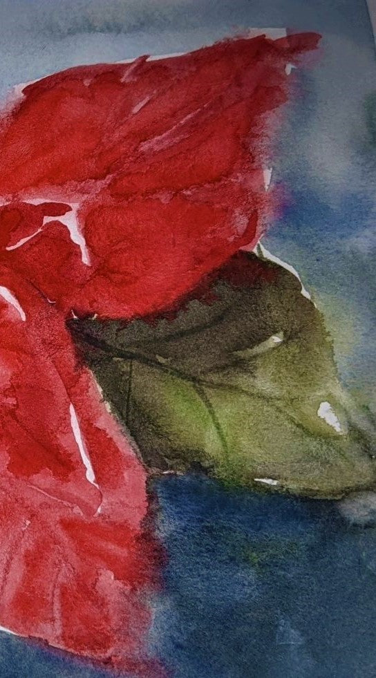 Poinsettia Wash watercolor painting on paper detail