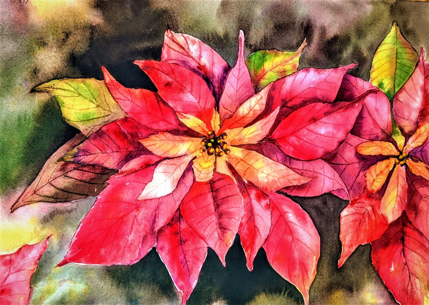 Golden Poinsettia watercolor on paper painting 