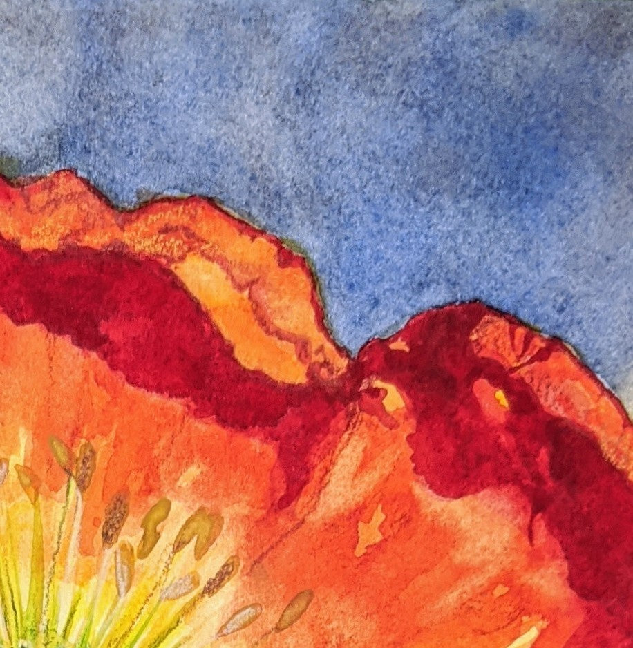 Poppy wide open watercolor painting detail