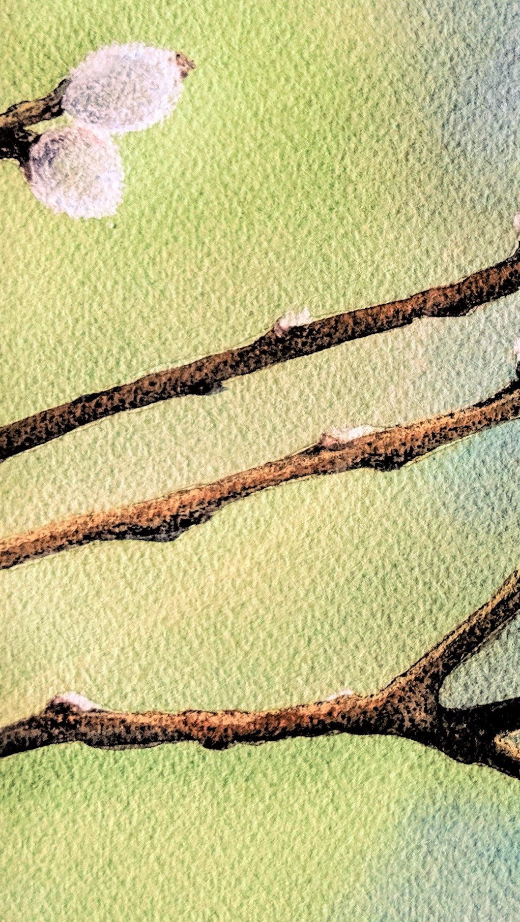 Pussywillow branches watercolor painting detail