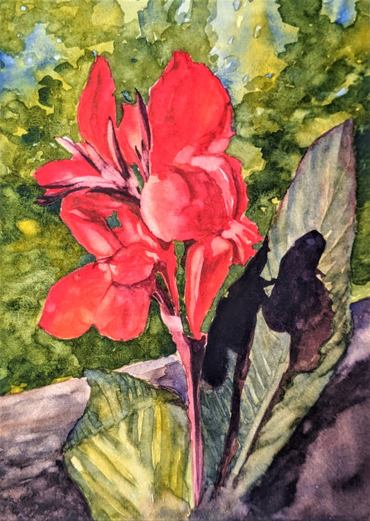 Scarlet Canna Lily watercolor painting on paper