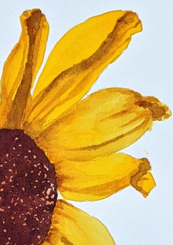 Single sunflower watercolor painting detail