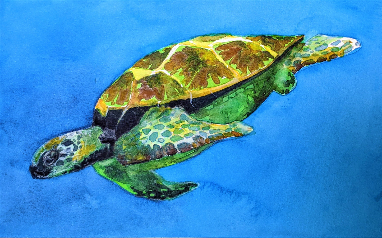 Sea turtle watercolor painting