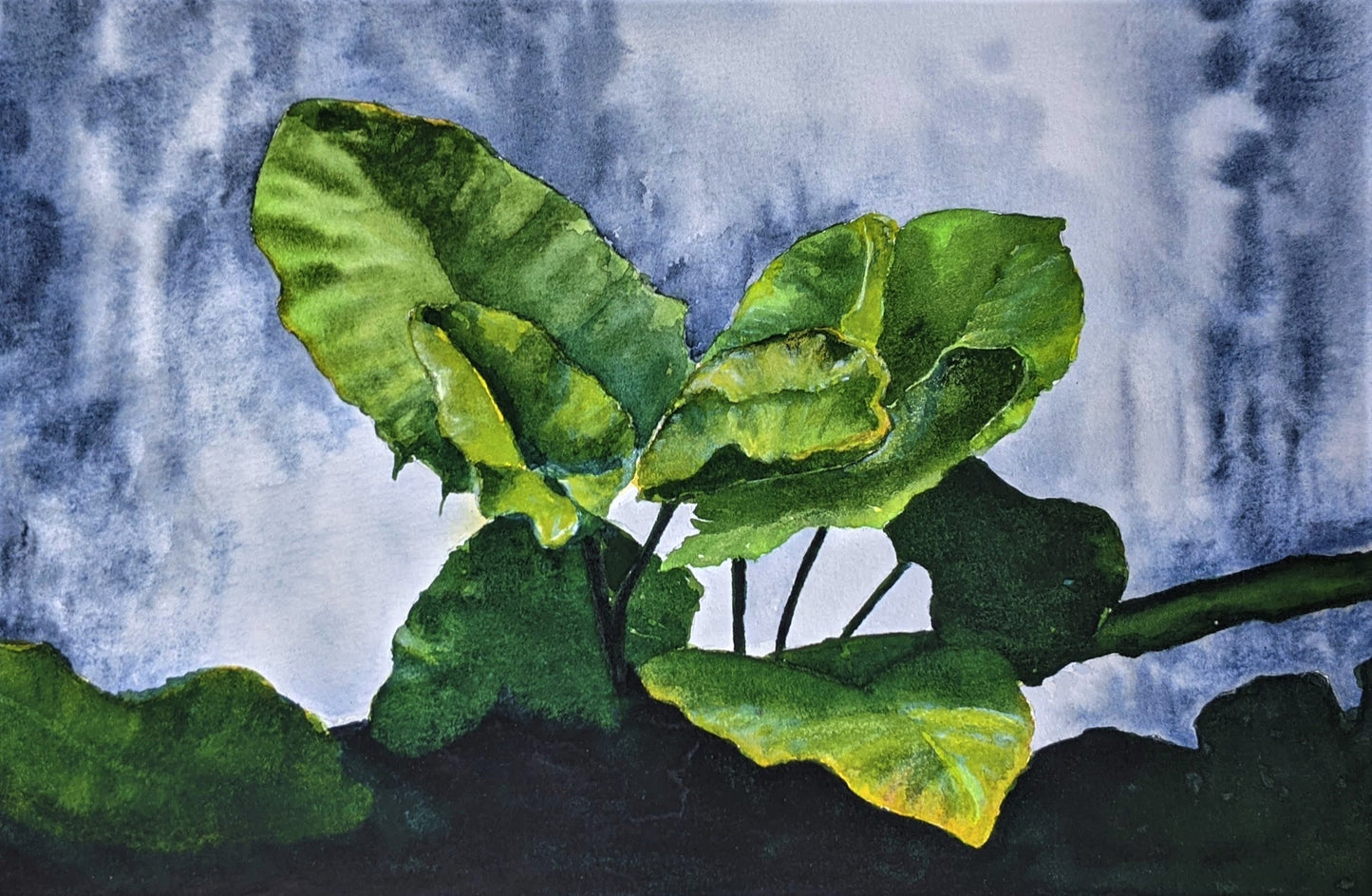 Tropical leaves watercolor painting