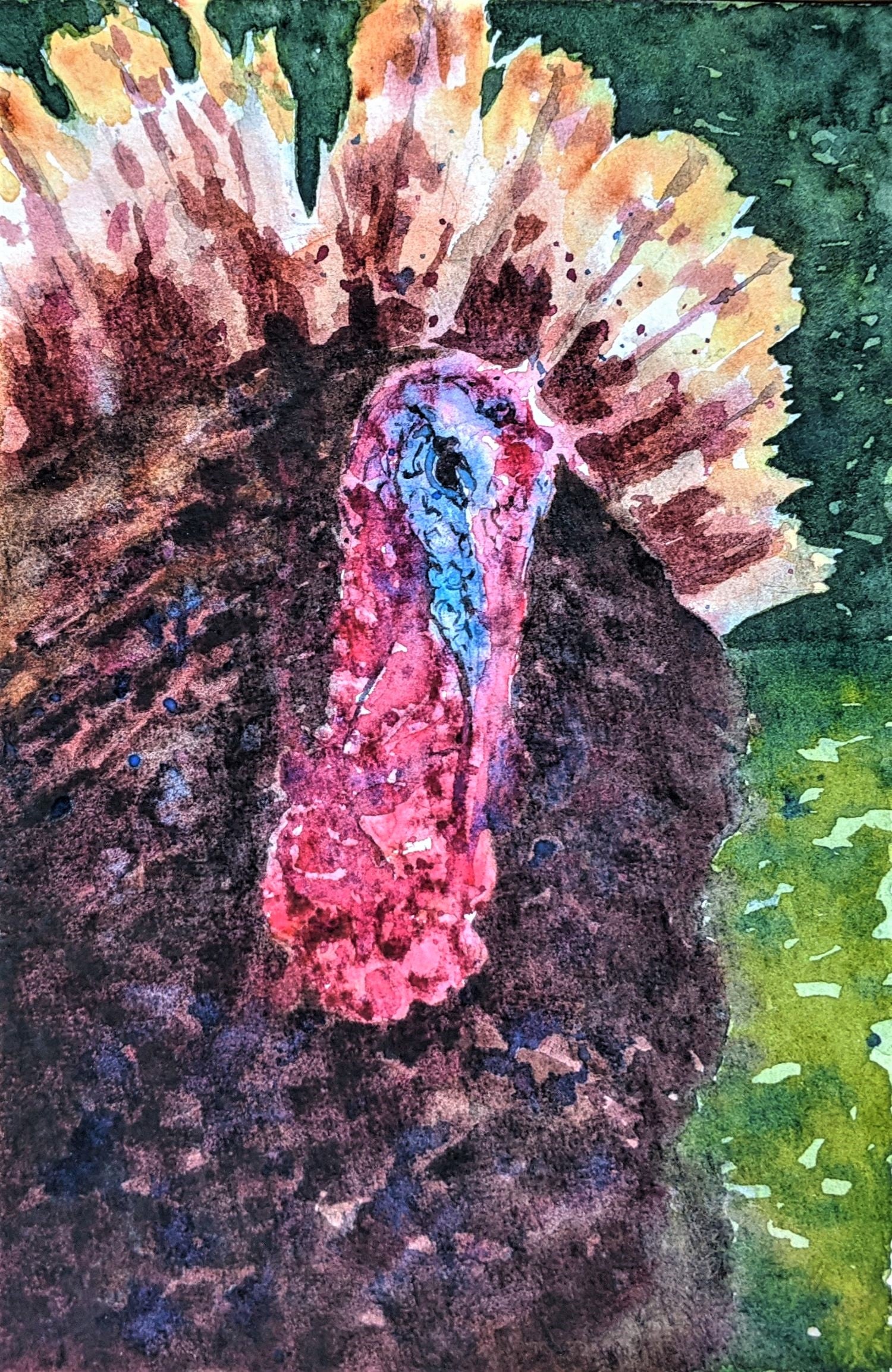 Turkey watercolor painting
