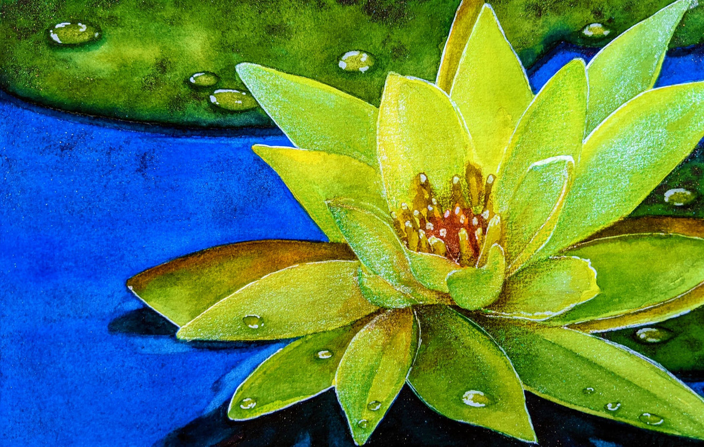 Vietnamese lotus watercolor painting
