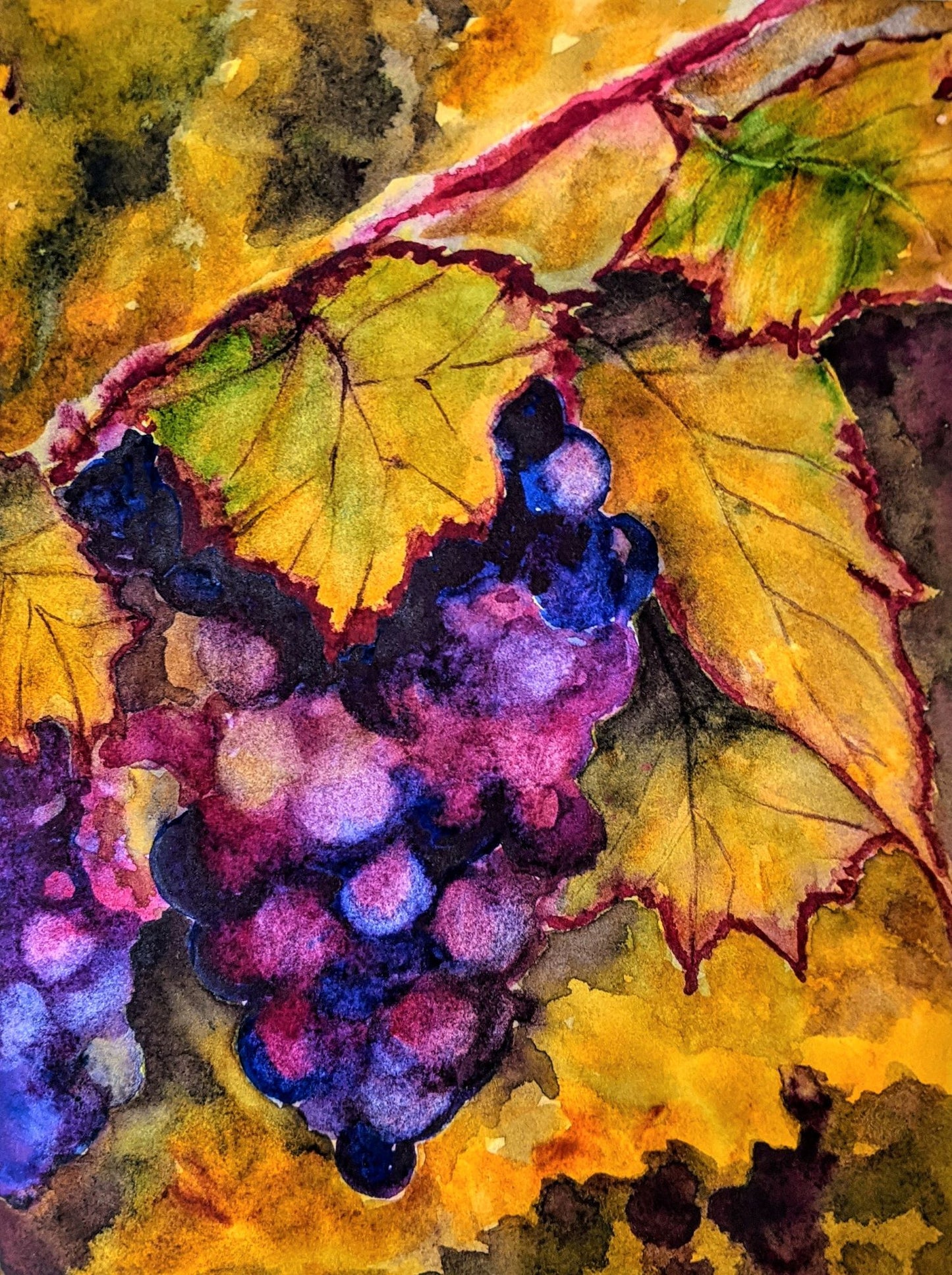Vine grapes watercolor painting