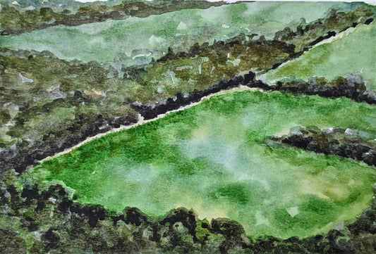 Vineyard below Château de Viviourès watercolor painting