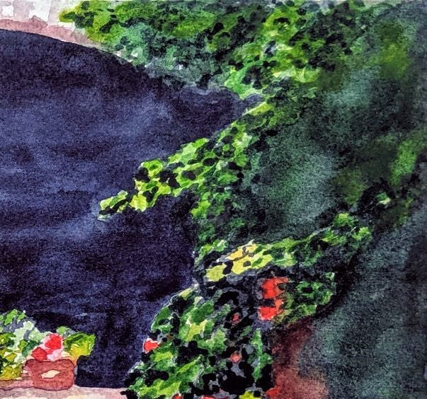 Geraniums in France watercolor painting detail