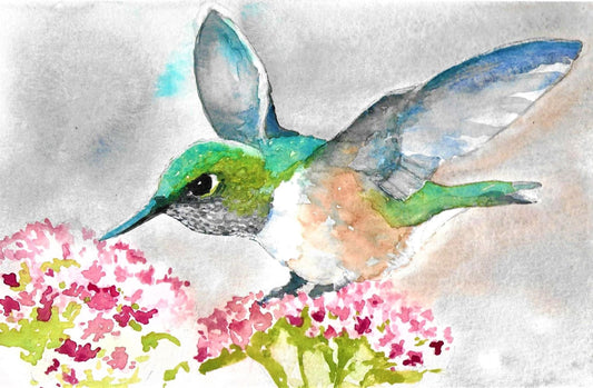 Hummingbird watercolor painting