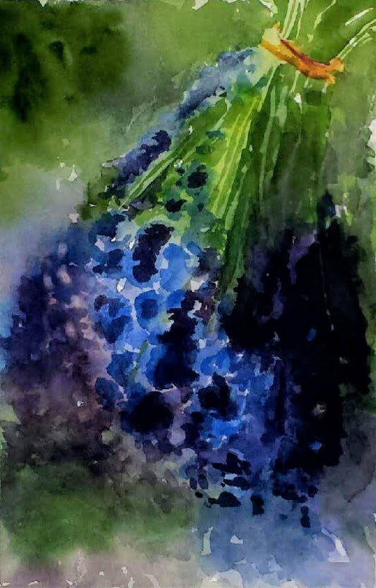 Lavender hanging watercolor painting