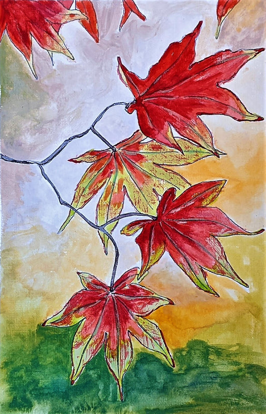 Maple Leaves
