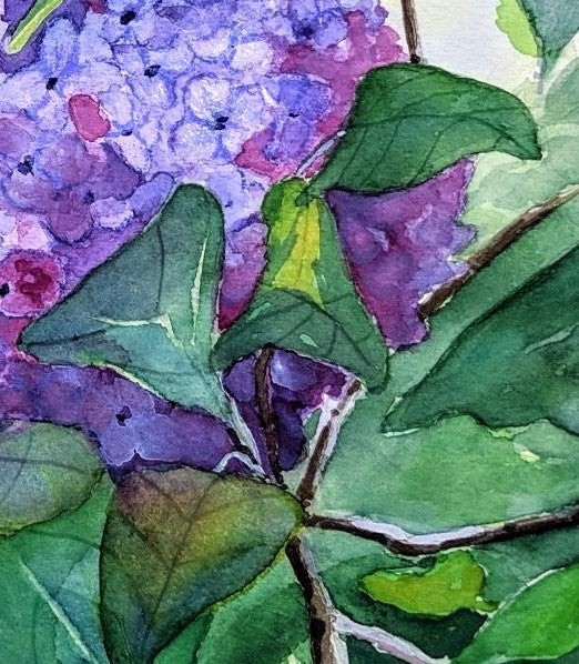 Mastin street lilacs waterolor painting detail