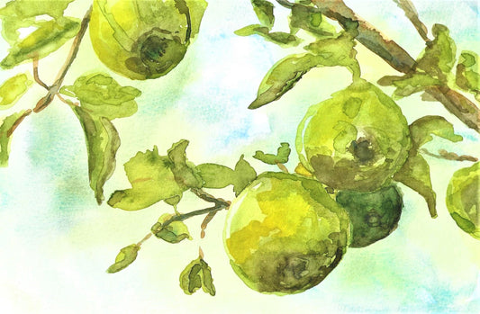 Pear tree watercolor painting