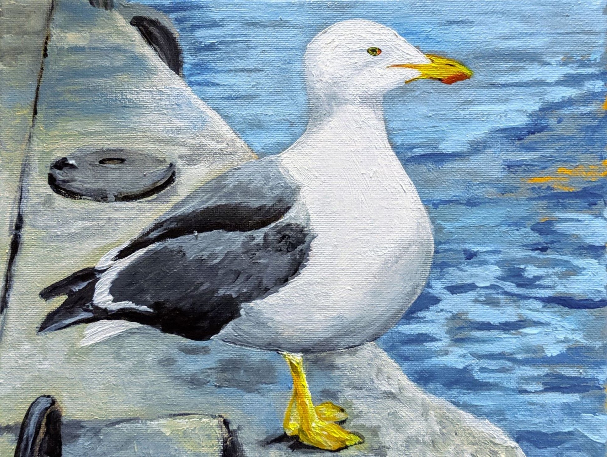 Porto gull acrylic painting